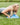 Bosu Sport Balance Trainer